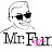 Mr fun SIK