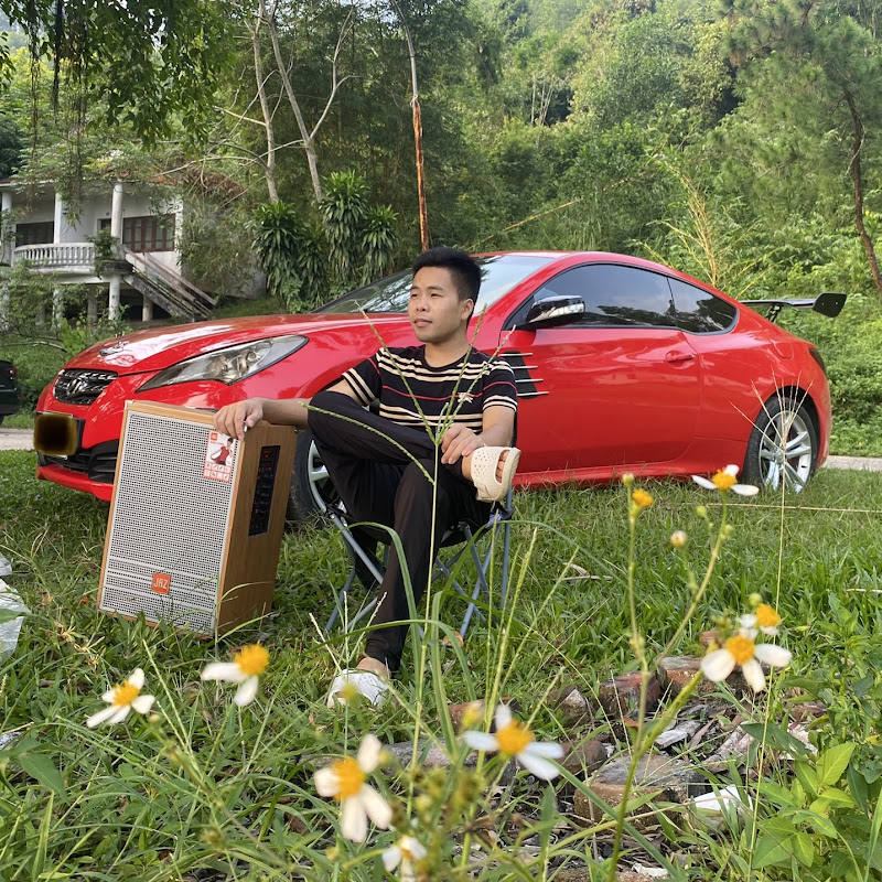 Văn quyết ô tô Cỏ thái nguyên