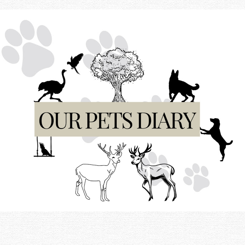 Our Pets Diary