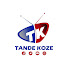 rOZzFlcK4gA-channel-avatar-Tande koze