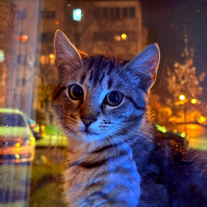 Aemi Mihaela