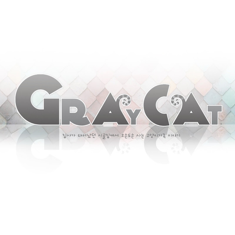Gray CAT / 그래이캣 / 고양이들의 하루 