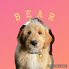 Ultimate Bear