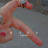 @شهدعامر-ب3ك