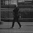 F2cWdv2XTL4-channel-avatar-YRYM Photo & Movie