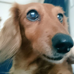 あすく