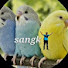 Channel Image