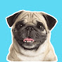 Pug TV logo