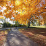 H7ZAPjsHdKA-channel-avatar-Wisconsin Places are cool!