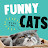 @Funny_Cats_Life