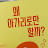 @치와와-t8y