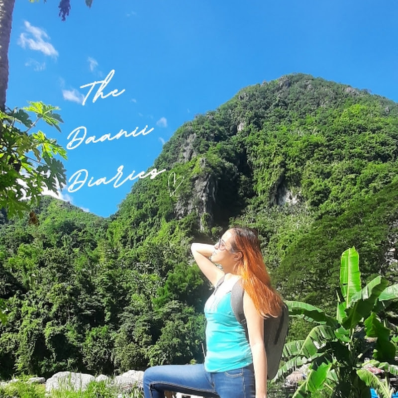 The Daanii Diaries (Travel VLOGS)