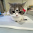 @TaliaSleem-u6b