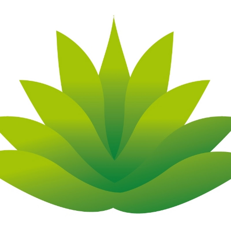 GreenDesertTV
