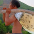 VU4_vYxsfOg-channel-avatar-Forest honey