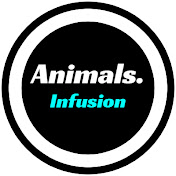 Animals Infusion