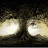 @soul_madness3433 Avatar