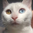4Lk57X1O0cE-channel-avatar-All Things Art