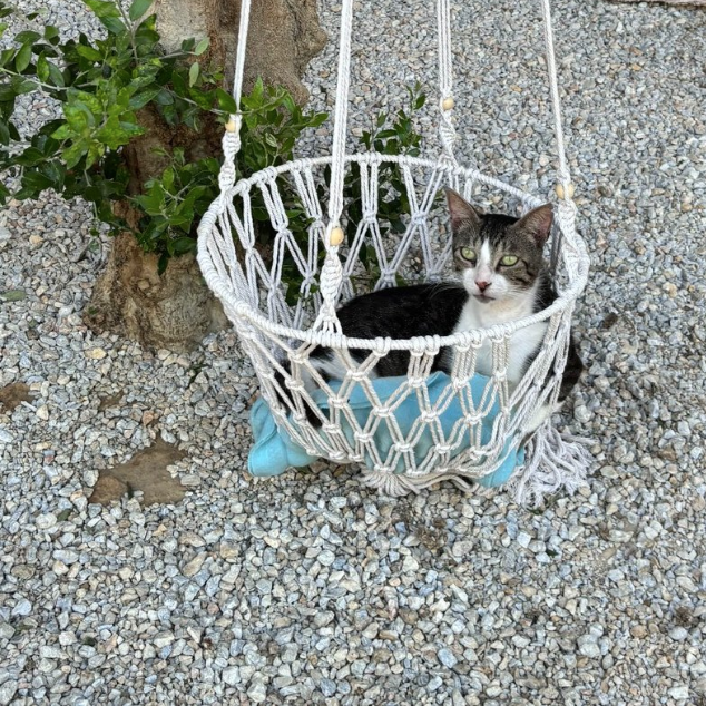 post-from-jutta-shelter