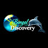 KJPHCxgqx40-channel-avatar-Bengal Discovery