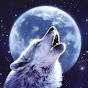 wolfy ismn