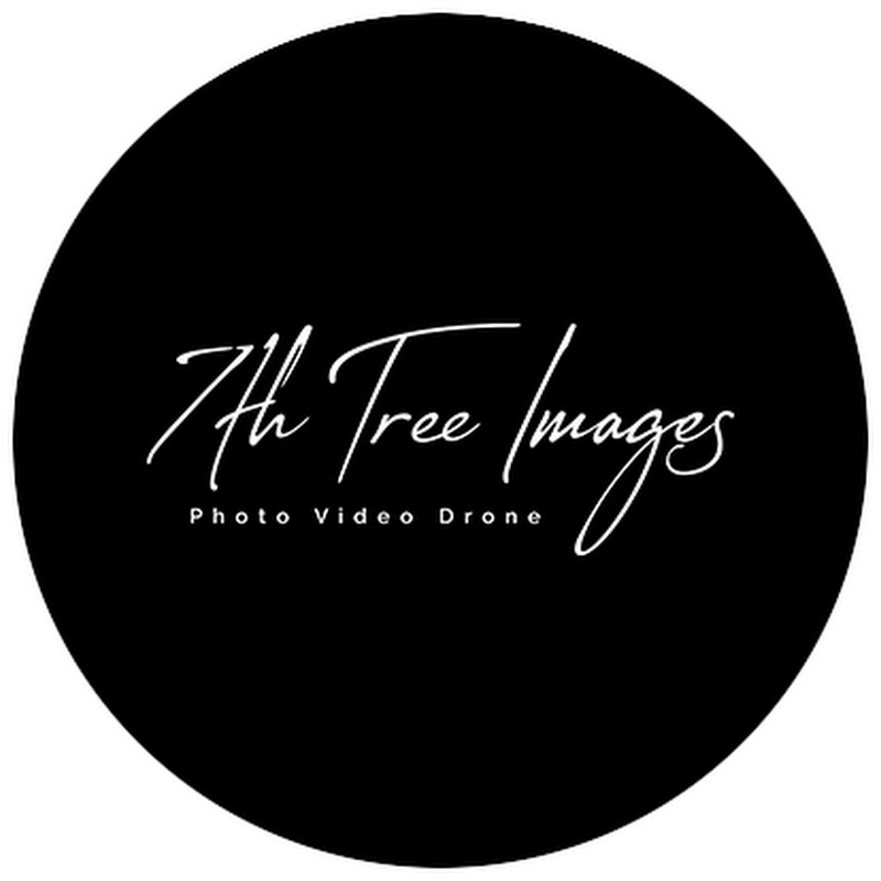 7th_Tree_Images