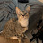 @brendan2003-x6y