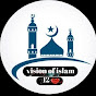 vision of islam 12 logo
