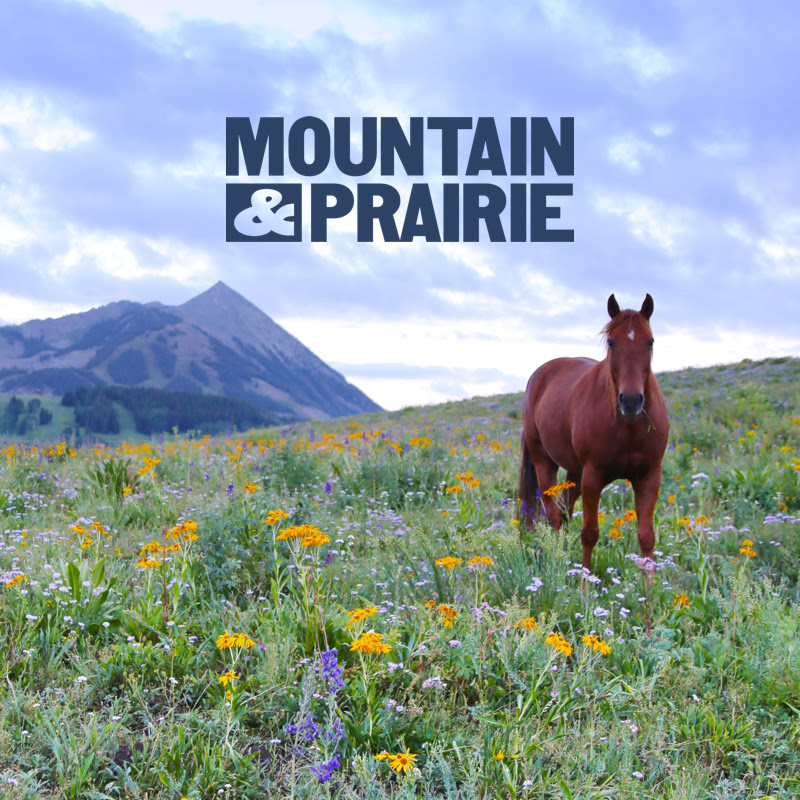 MOUNTAIN & PRAIRIE with Ed Roberson