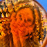6Q9n7Oo52x4-channel-avatar-Mia Webster