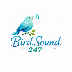 Channel thumbnail for Bird Sound 247