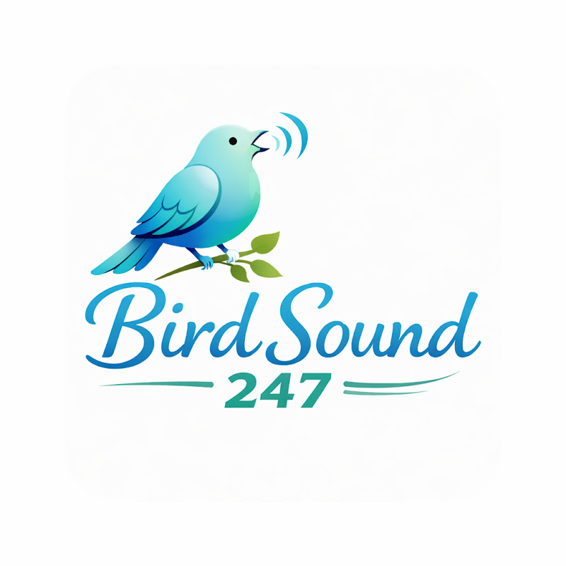 Bird Sound 247