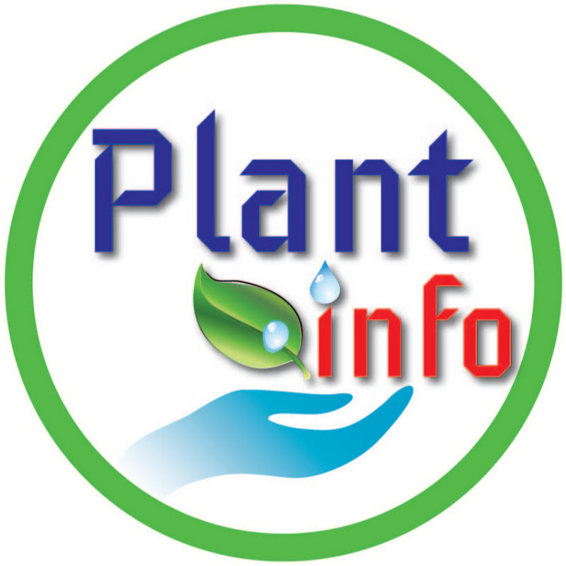 Plant Info