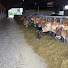 8U4cxhSPy-I-channel-avatar-Farm With Kenfarms