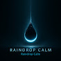 RAINDROP CALM logo