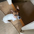 D7mewUpq9TA-channel-avatar-Damiendog329