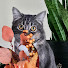 njfYjAS21ZI-channel-avatar-Two Ships Tarot