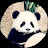 @Young26-b9c