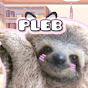 Pleb duz stuff logo