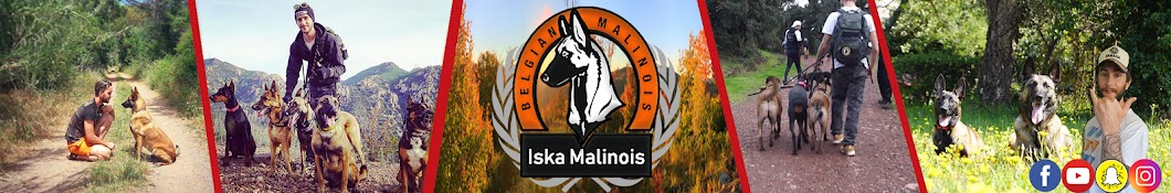 Iska Malinois Avatar channel YouTube 