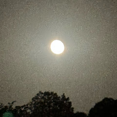 歌ってみたchannel