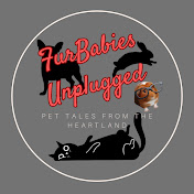 Fur Babies Unplugged