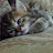 @mardiyanRH1945's avatar