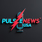 Pulse News USA logo