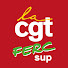 YVJZiYHfFLc-channel-avatar-Union CGT FERC Sup