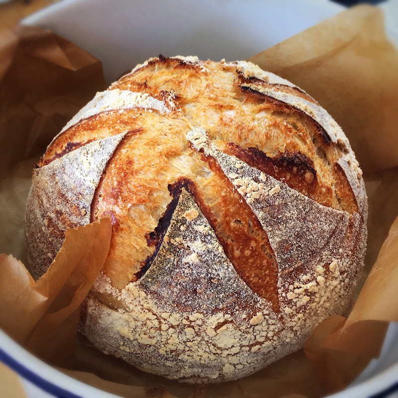 Foodbod Sourdough Logo