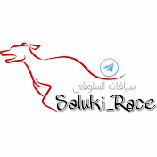 Saluki_Race