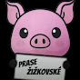 PRASE ŽIŽKOVSKÉ logo