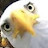 @hrvstrr's avatar