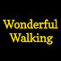 gRXyb24jv0Q-channel-avatar-Wonderful Walking